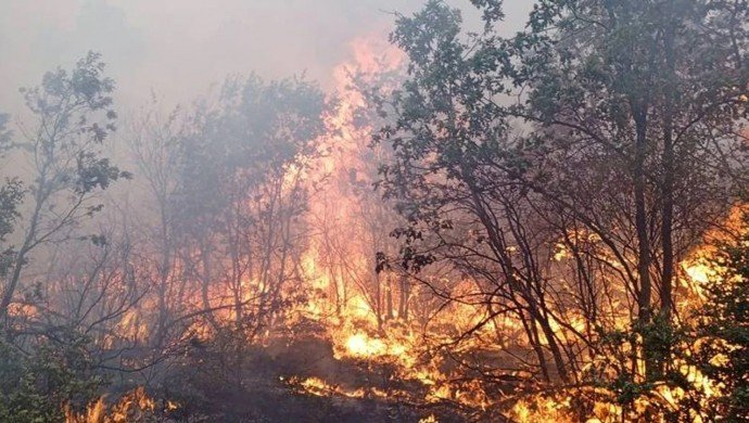 Yangın alanına 45 günlük işçi gönderildi