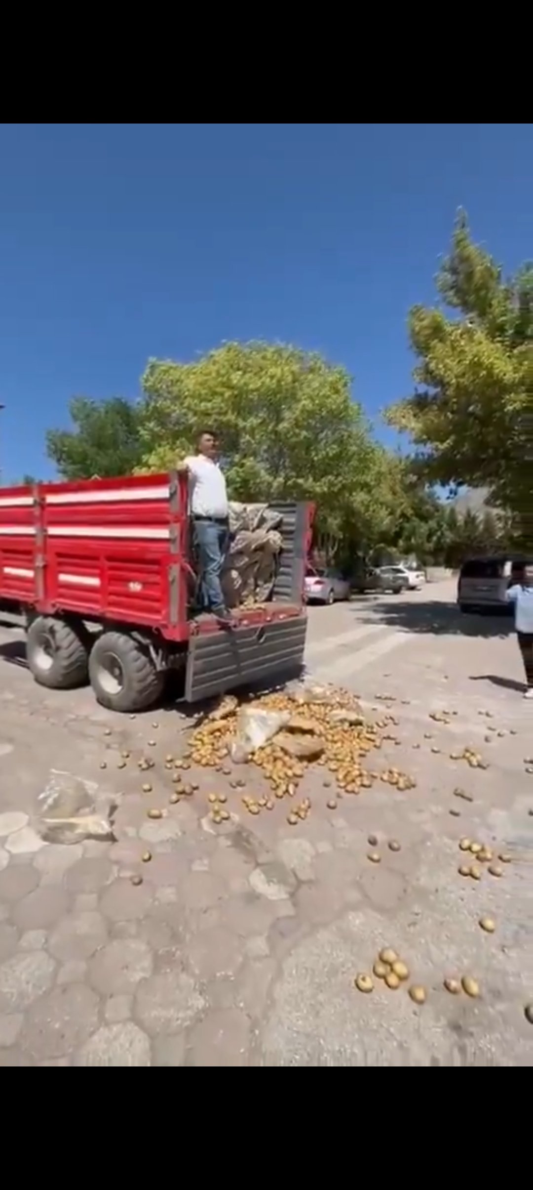 Yozgat’ta  ücretsiz patates dağıtan ciftçiye milyonluk ceza