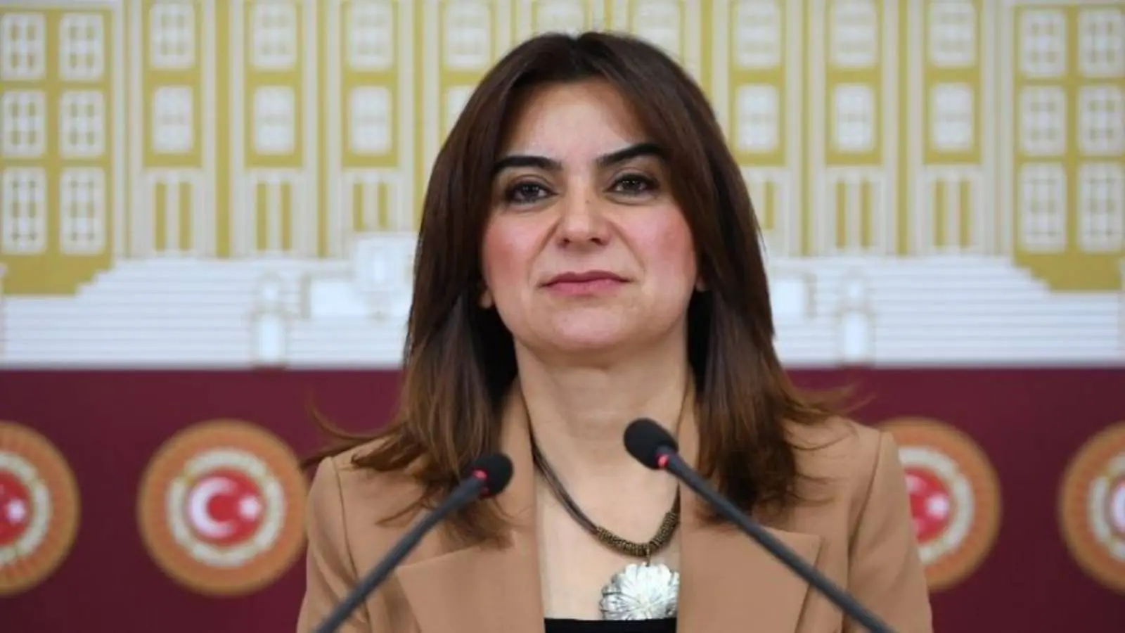 Gülistan Kılıç Koçyiğit, Meclis’te düzenlenen basın açıklamasında konuştu